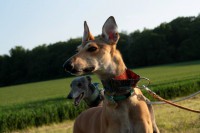 /album/photos/a9407-137443526451798-1861359604-n-jpg/