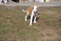 /album/photos/a856911-626760237339355-375098373-o-jpg/