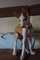 /album/photos/a885484-638619846153394-182243800-o-jpg/