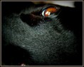 /album/fotogalerie-dorita/img-8803-jpg/